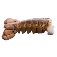 Seafood Counter Lobster Tail 2/3 Oz Frozen Each Service Case - Image 1