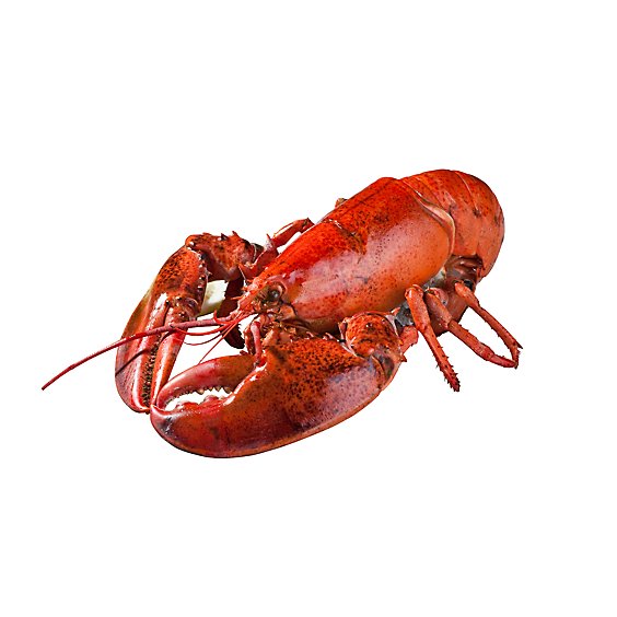 Seafood Service Counter Whole Lobster Cooked 12 Oz 1 Count - Each