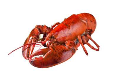 Lobster Whole 12 Oz Cooked Previously Frozen 1 Count - Each (subject to availability) - Image 1