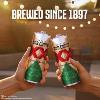 Dos Equis Mexican Lager Beer Cans - 4-16 Fl. Oz. - Image 5