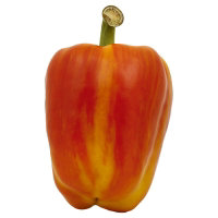 Peppers Bell Peppers Striped Aloha