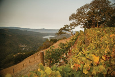 Kuleto Estate India Ink California Red Wine - 750 Ml - Image 5