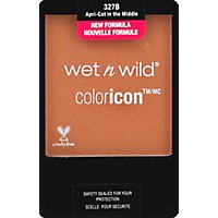 Wet Coloricon Blsh At Middle - .21 Oz - Image 2