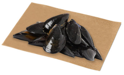 Eastern Black Mussels Fresh Service Case - 1.5 Lb - Image 1