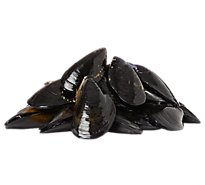 Eastern Black Mussels Fresh Service Case - 1.5 Lb