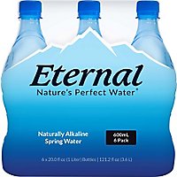 Eternal Spring Water Naturally Alkaline - 6-600 Ml - Image 4