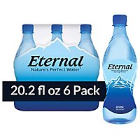 Eternal Spring Water Naturally Alkaline - 6-600 Ml - Image 1