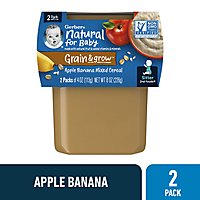 Gerber 2nd Foods Apple Banana with Mixed Cereal Baby Food Tub - 2-4 Oz - Image 1