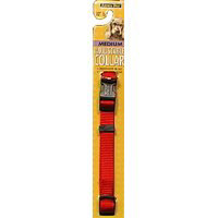 Aspen Pet Pet Collar Adjustable Medium Red - Each