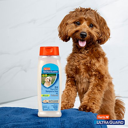 Hartz UltraGuard Flea & Tick Rid Shampoo For Dogs Vanilla Fragrance Bottle - 18 Fl. Oz. - Image 2
