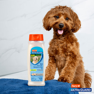 Hartz rid flea and tick shampoo best sale