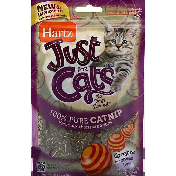 Hartz Catnip Wacky Cat Toy - 1 Oz