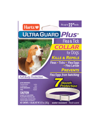 Hartz Mountain Control Flea Collar Dog - Each