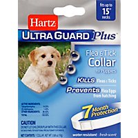 Hartz UltraGuard Plus Flea & Tick Collar For Puppies 15 Inch Box - Each - Image 2