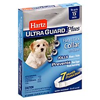 Hartz UltraGuard Plus Flea & Tick Collar For Puppies 15 Inch Box - Each - Image 1