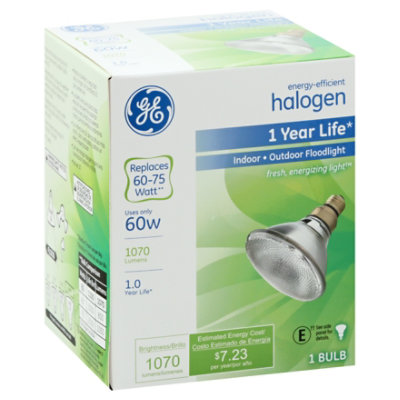 GE Floodlight Par38 60 Watt - Each