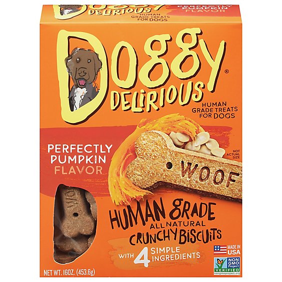 Doggy Delirious Dog Bone Natural Pumpkin Box - 16 Oz