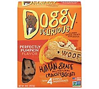 Doggy Delirious Dog Bone Natural Pumpkin Box - 16 Oz