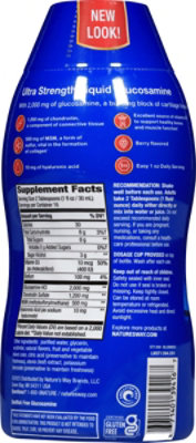 Wellesse Joint Movement Glucosamine Bry - 16 Fl. Oz. - Image 4