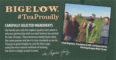 Bigelow Green Tea with Mint - 20 Count - Image 4