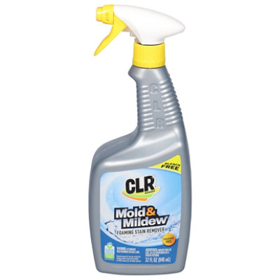 Remove Mold with Mold Spray From