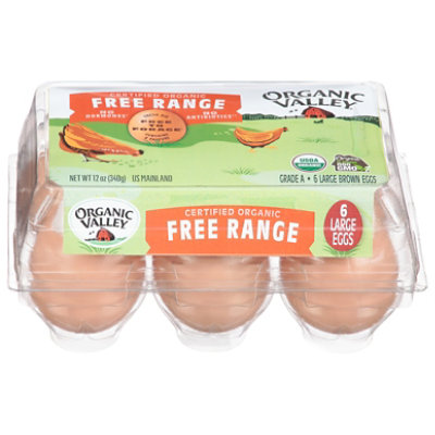 Organic Valley Brown Large A Eggs 6 Count JewelOsco