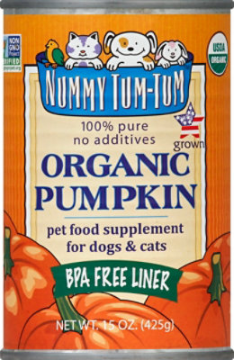 Kong + Pumpkin Recipes - Nummy Tum Tum