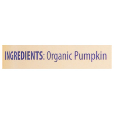 Nummy Tum Tum Pet Food Supplement Organic For Dogs & Cats Pumpkin Can - 15 Oz - Image 3
