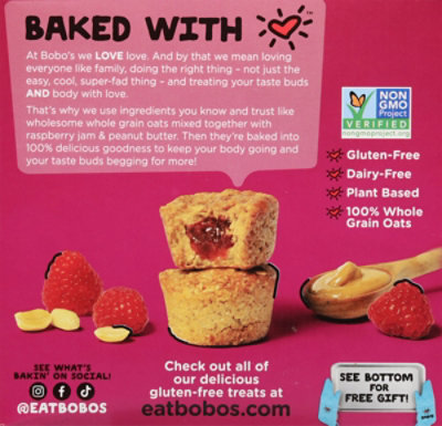 Bobos Bobos Bites Peanut Butter & Jelly - 5-1.3 Oz - Image 6