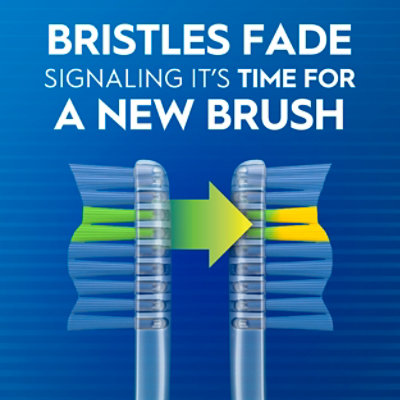 Oral-B Indicator Color Collection Toothbrush Medium - Each - Image 5