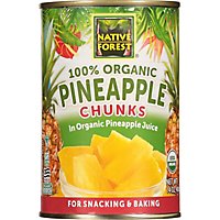 Native Forest Organic Pineapple Chunks - 14 Oz - Image 2