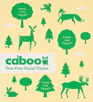 Caboo Facial Tissue 2-Ply Box - 90 Count - Image 4