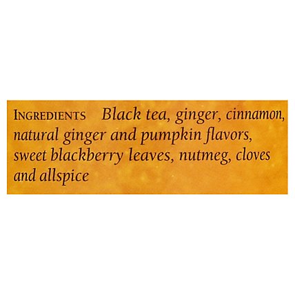 The Republic of Tea Black Tea Pumpkin Spice - 50 Count - Image 4