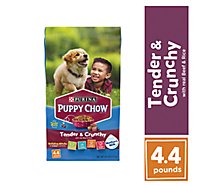 Purina Puppy Chow Dog Food Dry Tender And Crunchy Beef - 4.4 Lb