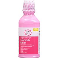 Signature Care Stomach Relief Bismuth Subsalicylate 525mg Regular Strength  - 16 Fl. Oz. - Image 2