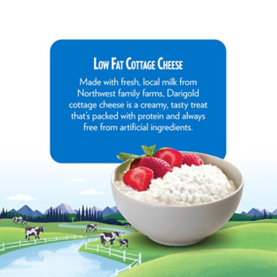 Darigold Small Curd 2% Milkfat Cottage Cheese - 48 Oz - Image 5