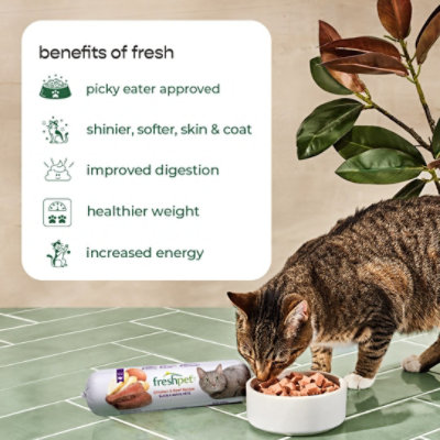 Freshpet Healthy and Natural Cat Food Fresh Chicken Recipe 1 Lb carrsqc