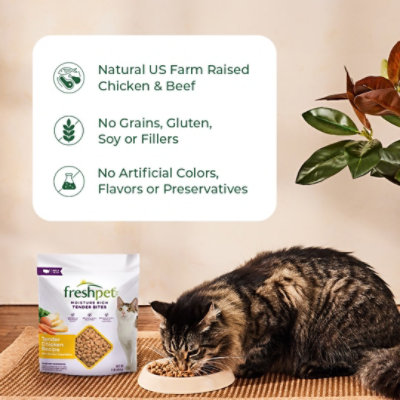 Freshpet refrigerated cat food hotsell