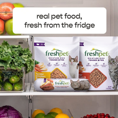 Freshpet Healthy and Natural Cat Food Fresh Chicken Recipe 1 Lb carrsqc