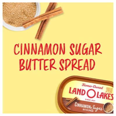 Land O Lakes Cinnamon Sugar Butter Spread Spreadable Tub - 6.5 Oz - Image 2