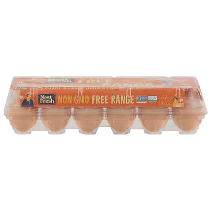 NestFresh Eggs Non GMO Free Range Large Grade A Brown - 12 Count - Image 2