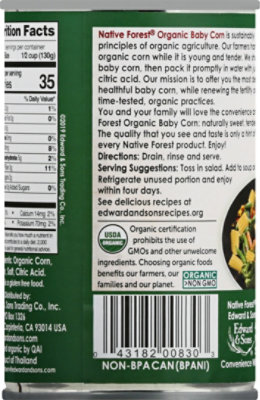 NATIVE FOREST Organic Corn Baby Pieces - 14 Oz - Image 6