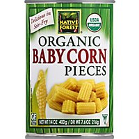 NATIVE FOREST Organic Corn Baby Pieces - 14 Oz - Image 2