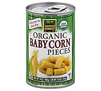 NATIVE FOREST Organic Corn Baby Pieces - 14 Oz