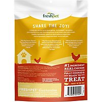 Freshpet Dog Joy Dog Treats Real Chicken Recipe Pouch - 8 Oz - Image 2