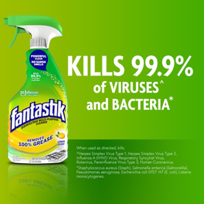 Fantastik Lemon Scent All Purpose Cleaner Trigger Bottle - 32 Oz - Image 4