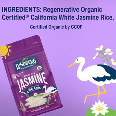 Lundberg Family Farms Regenerative Organic Certified California White Jasmine Rice - 32 Oz - Image 6