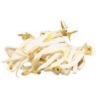 Bean Sprout Mung - .25 Lb - Image 1