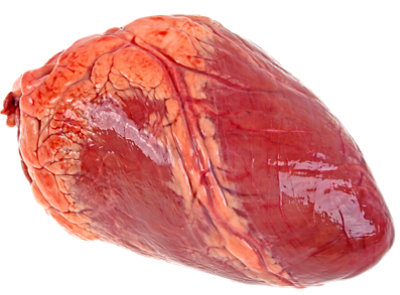 Beef Heart - 1.5 Lb - Image 1