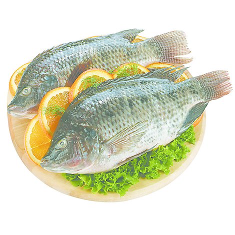 Seafood Service Counter Fish Tilapia Whole Previously Frozen - 2.00 LB